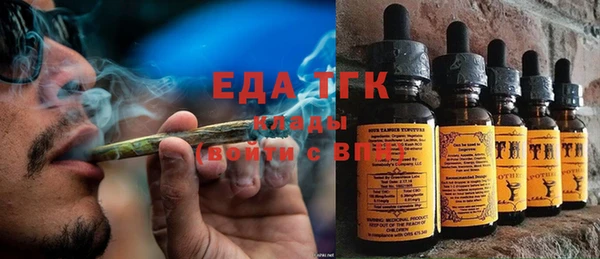 прущие грибы Магас